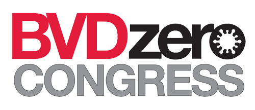 BVDzero Congress 2021